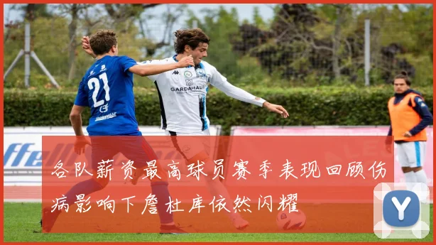 各队薪资最高球员赛季表现回顾伤病影响下詹杜库依然闪耀