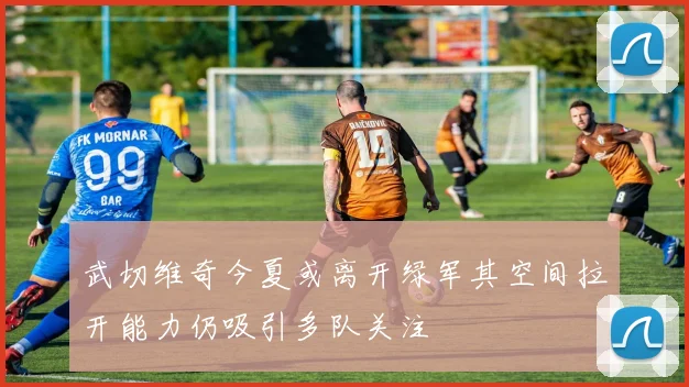 武切维奇今夏或离开绿军其空间拉开能力仍吸引多队关注